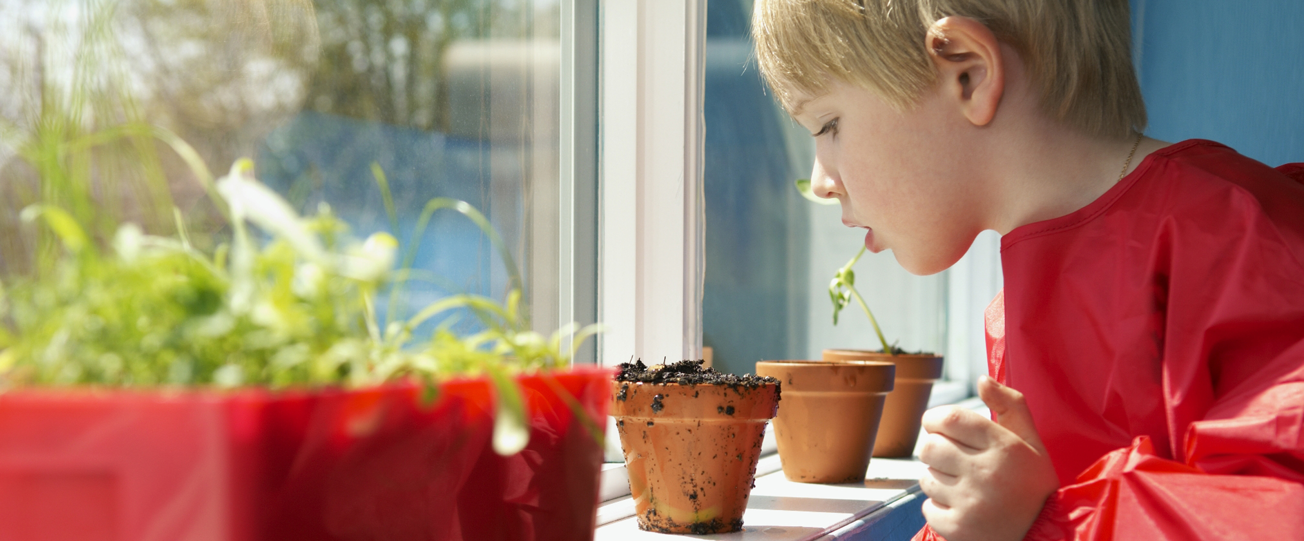 young boy in classroom looking at plants
