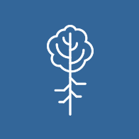 tree icon