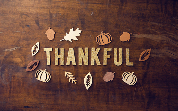 Stewardship and Thanksgiving
